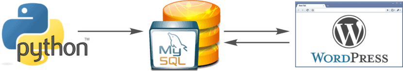 python and wordpress copy