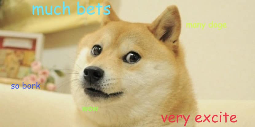 doge dog excite about crypto gambling
