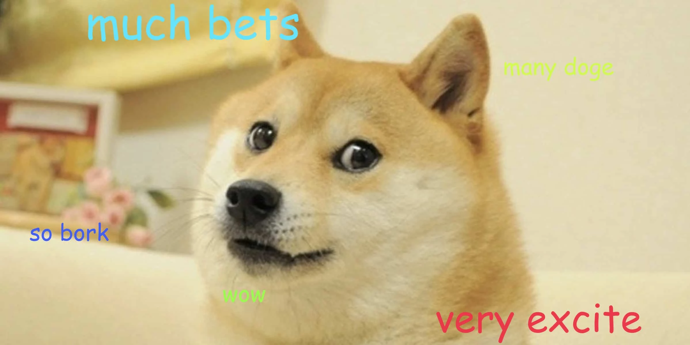 doge dog excite about crypto gambling