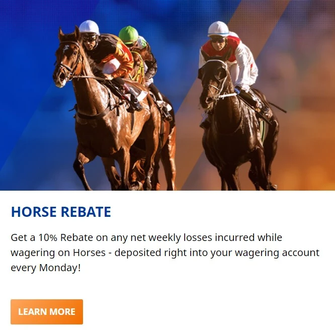 horse rebate promo