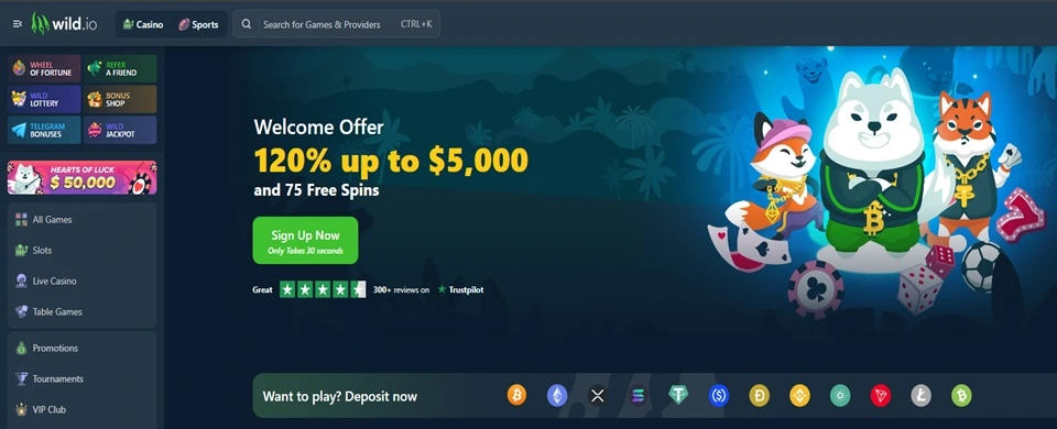 wild.io casino