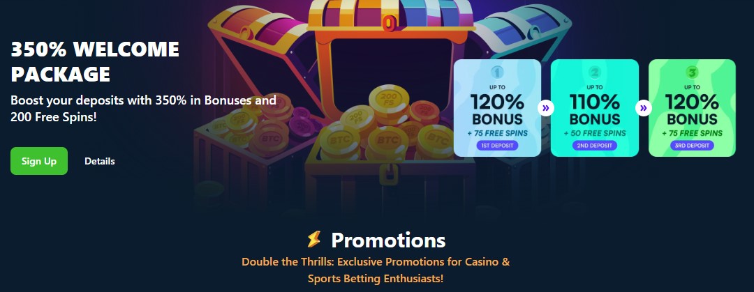 Wild.io Casino bonus