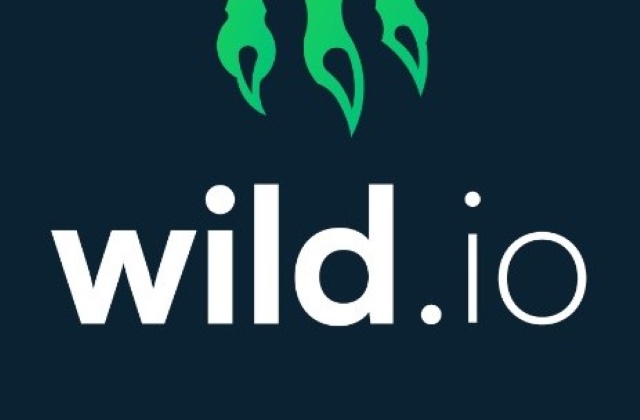 Image for Wild Io