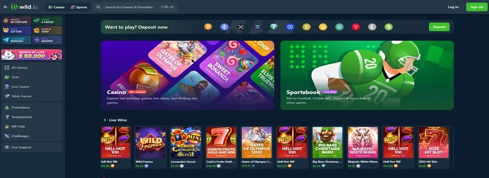 Wild.io casino