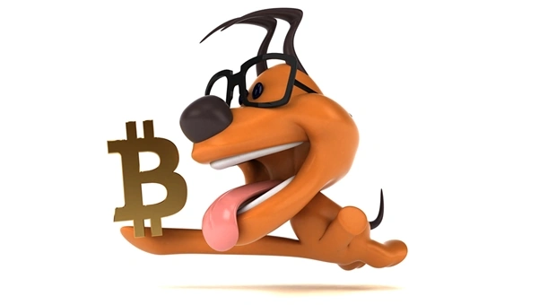 Will Meme Coins Rebound in 2025? DOGE, SHIB and Pepe Navigate Dips