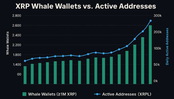 XRP Whale Wallets
