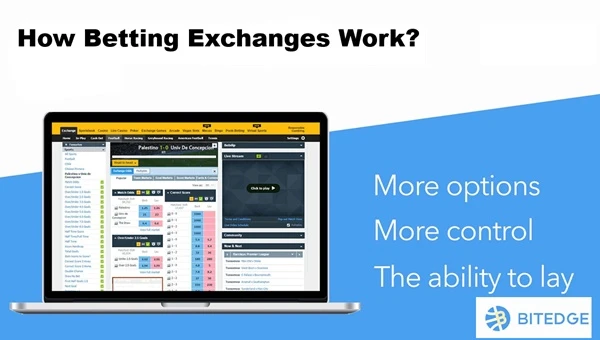 how betting exchanges work