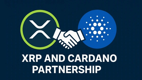 Crypto Ecosystems Seek Unity in DeFi Expansion
