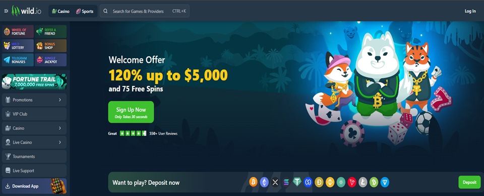 Wild casino homepage