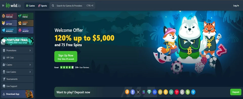 Wild casino homepage