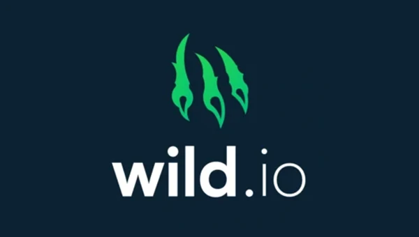 wild.io-casino-logo