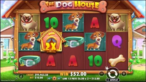 the dog house gallery image_4