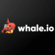 Logo image for Whale Casino